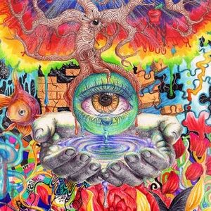 Meet your Posher, Hailey